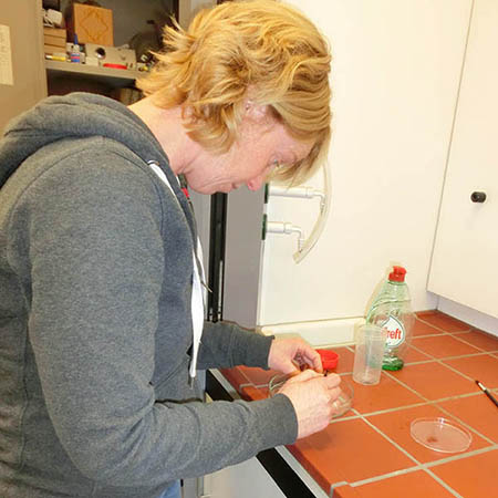 Monique Mul onderzoek vogelmijt